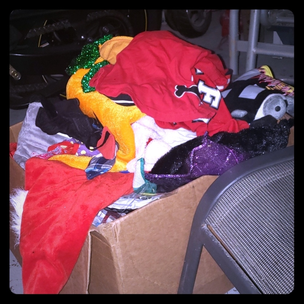 Box of Dog clothes
